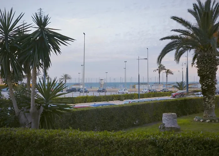 Cayo * Torrox